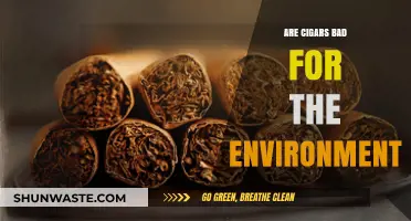 Cigars' Environmental Impact: Uncovering the Hidden Ecological Costs