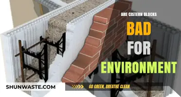 Are Cistern Blocks Eco-Friendly or Harmful to the Environment?