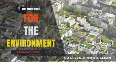 Urban Sustainability: Are Cities Eco-Friendly or Environmental Challenges?