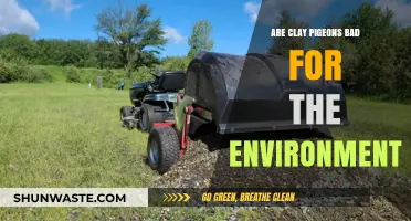Clay Pigeons and Their Environmental Impact: A Closer Look