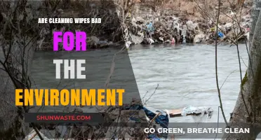 Cleaning Wipes: Eco-Friendly or Environmental Hazard?