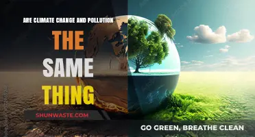 Climate Change vs Pollution: What's the Difference?