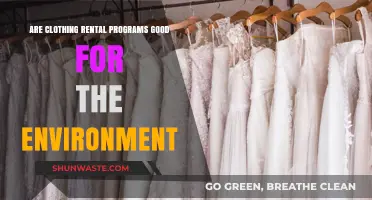 Clothing Rental Programs: Eco-Friendly Solution or Greenwashing?