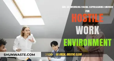 Facial Expressions in the Workplace: Do They Signal a Hostile Environment?
