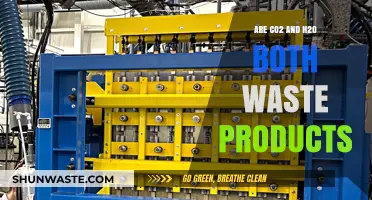 CO2 and H2O: Waste or Essential Byproducts of Life?