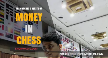 Are Chess Coaches Worth the Investment or a Waste?