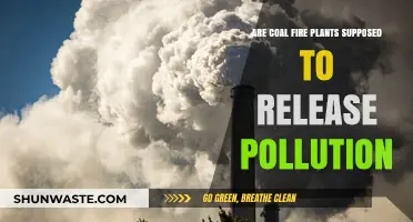 Coal Plants: Pollution, Problems, and Solutions