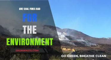 Coal Fires: Environmental Impact and Sustainable Alternatives Explored