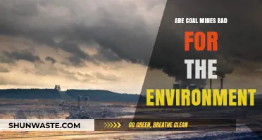 Coal Mines' Environmental Impact: Harmful Effects and Sustainable Alternatives