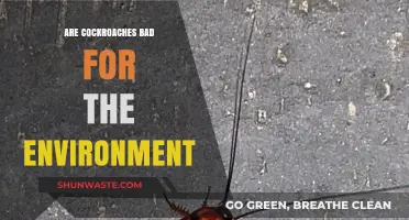 Cockroaches: Environmental Allies or Harmful Pests? Unveiling the Truth