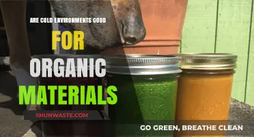 Cold Climates: Preserving Organic Materials or Accelerating Degradation?