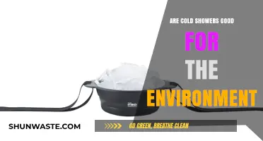 Eco-Friendly Showers: Cold Water's Impact on Sustainability and Energy Use