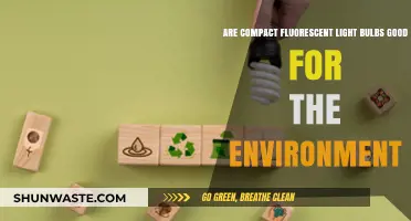 Compact Fluorescent Light Bulbs: Eco-Friendly or Environmental Concern?