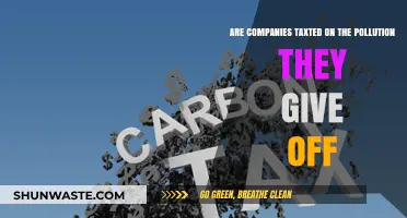 Pollution Tax: Are Companies Paying Their Fair Share?