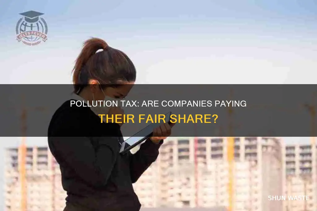 are companies taxted on the pollution they give off