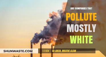 Pollution and Prejudice: The White Face of Environmental Racism