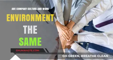 Company Culture vs. Work Environment: Understanding the Key Differences