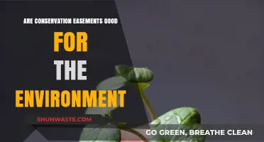 Conservation Easements: Environmental Benefits or Landowner Burden?