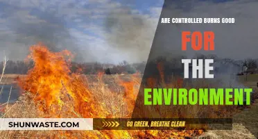 Controlled Burns: Environmental Benefits or Ecological Risk?
