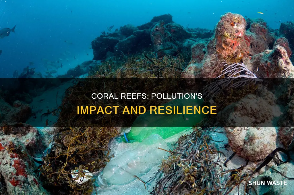 are coral reefs unaffected by pollution