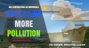 Who Pollutes More: Corporations or Individuals?