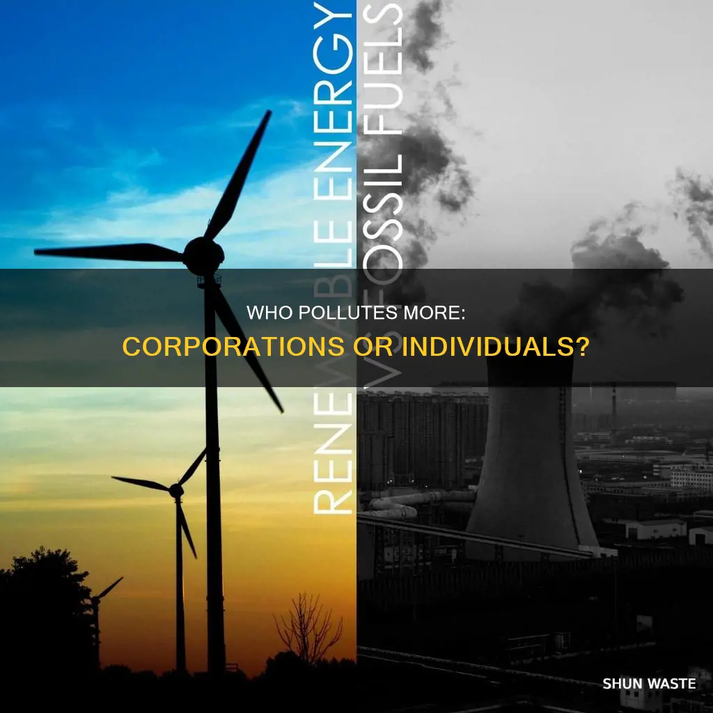 are corporations or individuals producing more pollution