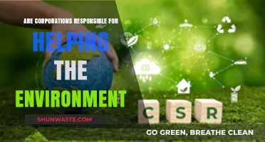 Corporate Environmental Responsibility: Obligation or Opportunity for Businesses?