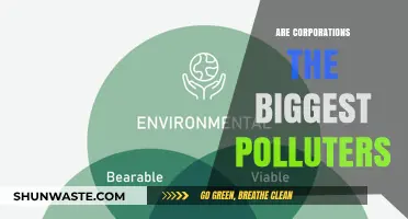 Who Pollutes the Most? Corporations Under the Microscope