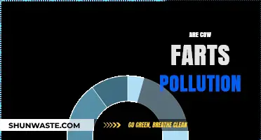Cow Farts: Are They a Polluting Menace?