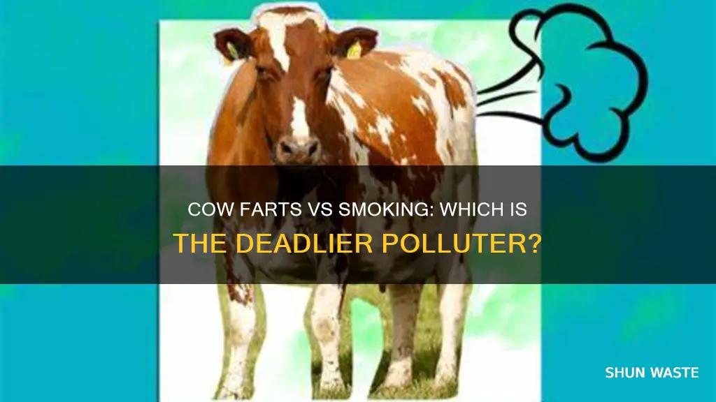 are cow farts worse than smoking for pollution