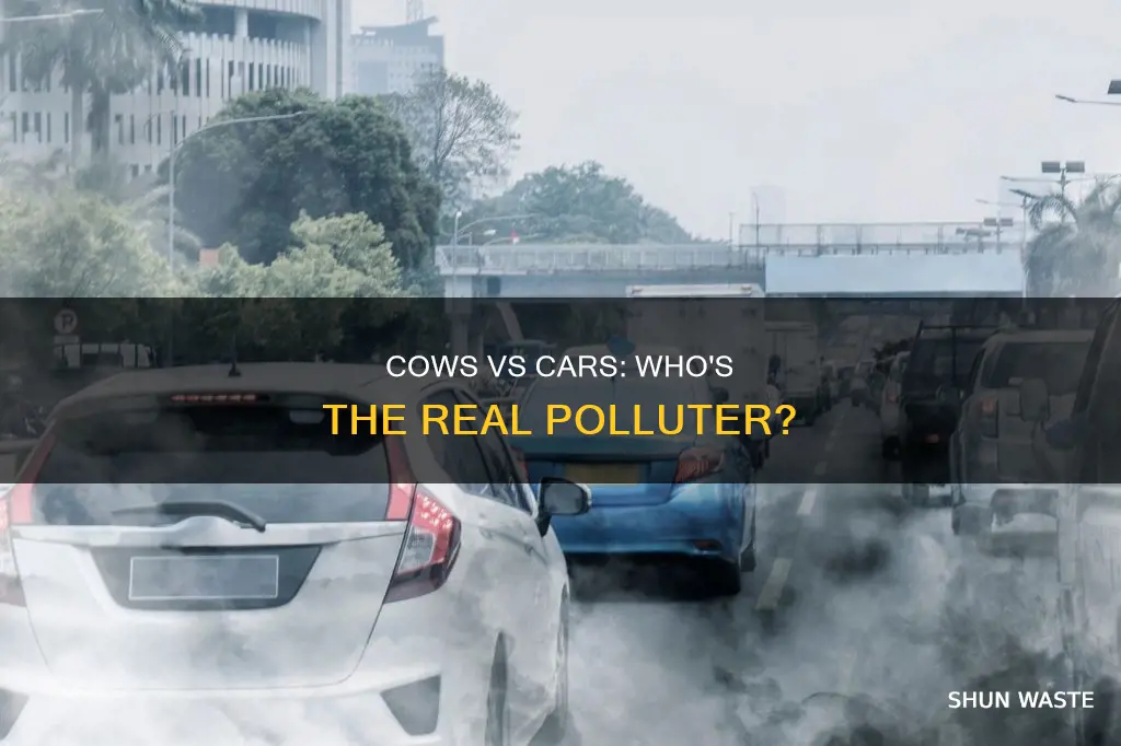 are cows more pollution than cars