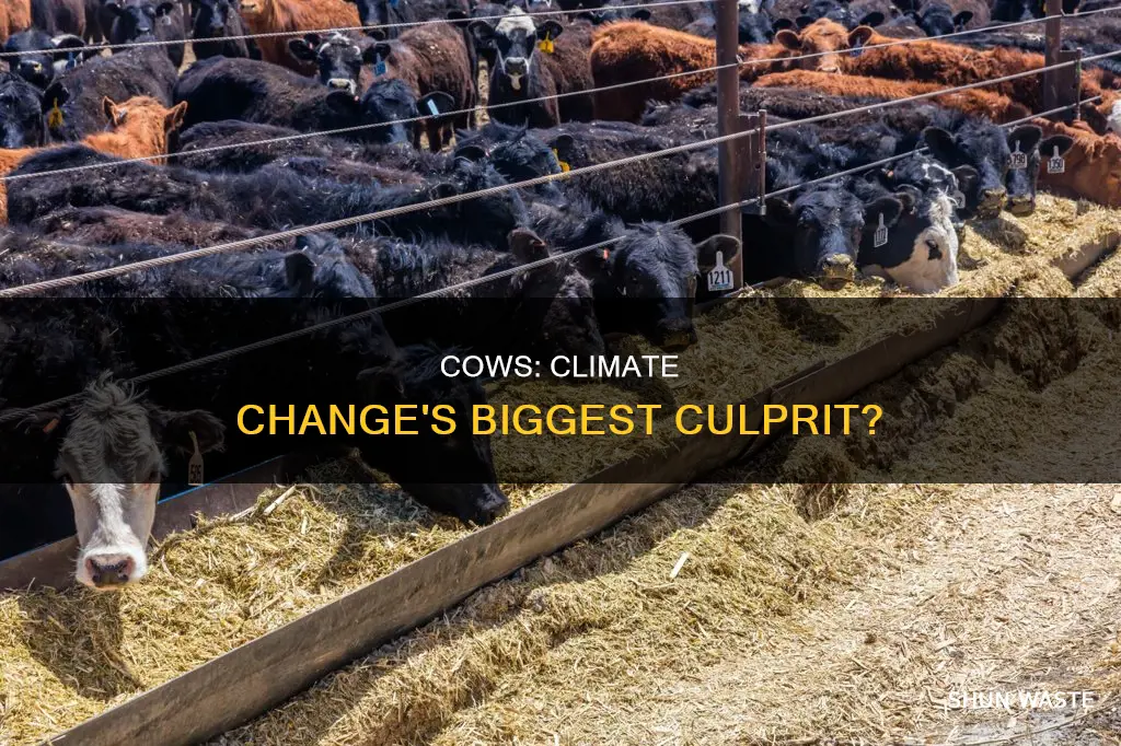 are cows the biggest polluters