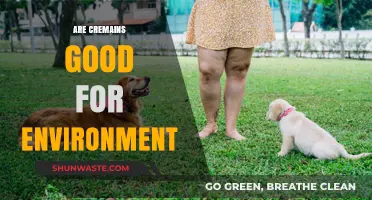 Eco-Friendly Farewells: Cremains' Environmental Impact Explored