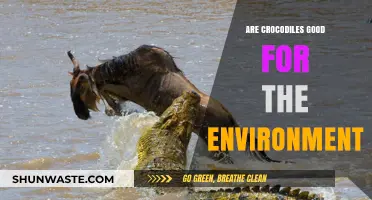 Crocodiles' Ecological Role: Environmental Guardians or Ecosystem Disruptors?