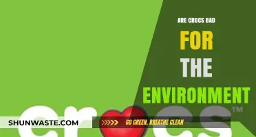 Are Crocs Eco-Friendly? Uncovering Their Environmental Impact and Sustainability