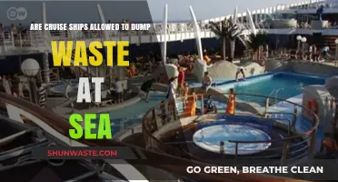 Cruise Ship Waste Disposal: Legal Limits and Environmental Concerns