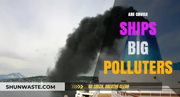 Cruise Ships: Polluters of the Sea?
