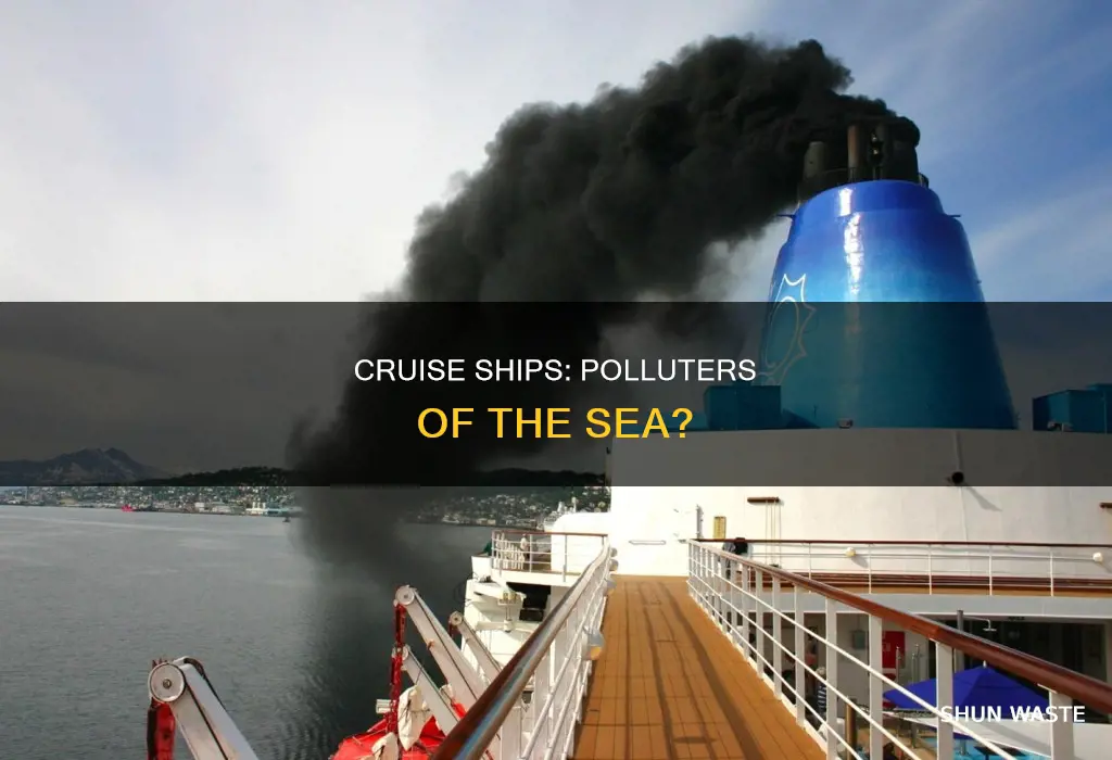are cruise ships big polluters