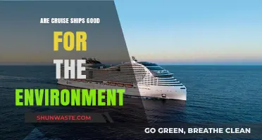 Cruise Ships and the Environment: Sustainable Travel or Ecological Threat?