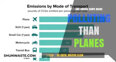 Cruise Ships vs Planes: Who's the Bigger Polluter?