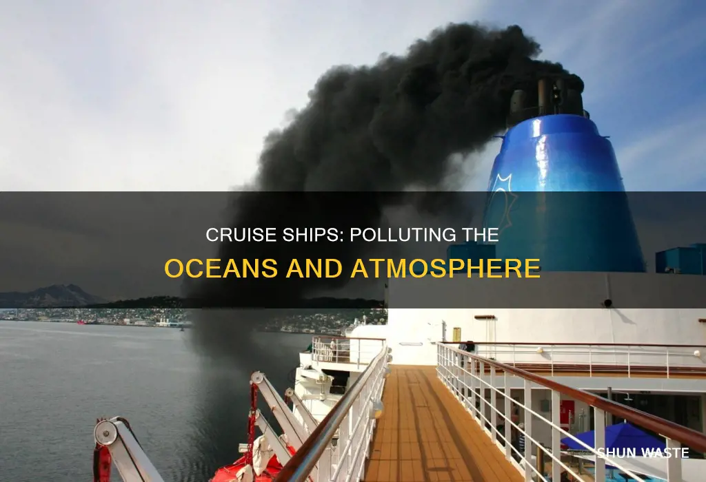 are cruise ships the number one polluter