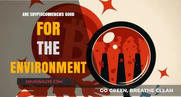 Cryptocurrencies and the Environment: Sustainable Future or Ecological Threat?