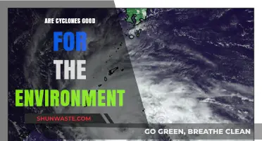 Cyclones' Environmental Impact: Destructive Forces or Nature's Necessary Balance?