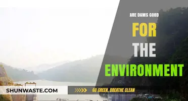 Dams and Ecology: Balancing Benefits and Environmental Impacts