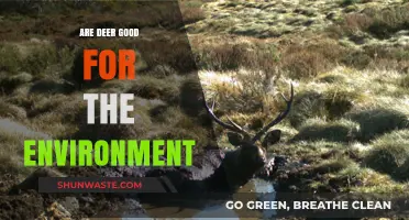 Deer's Environmental Impact: Beneficial or Detrimental to Ecosystems?
