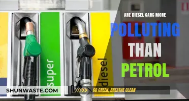 Diesel vs. Petrol: Which Cars Pollute More?