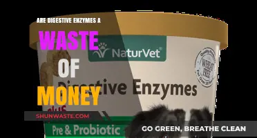 Digestive Enzymes: Worth the Hype or a Waste of Money?