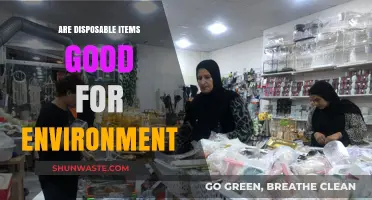 Disposable Items: Eco-Friendly Solution or Environmental Hazard?