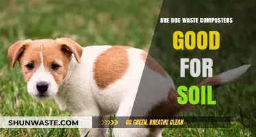 Dog Waste Composting: Benefits and Risks for Healthy Soil