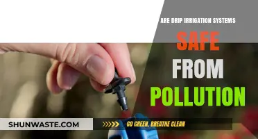 Drip Irrigation: Pollution-Free Watering Solution?